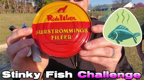 SURSTRÖMMING STINKY FISH CHALLENGE